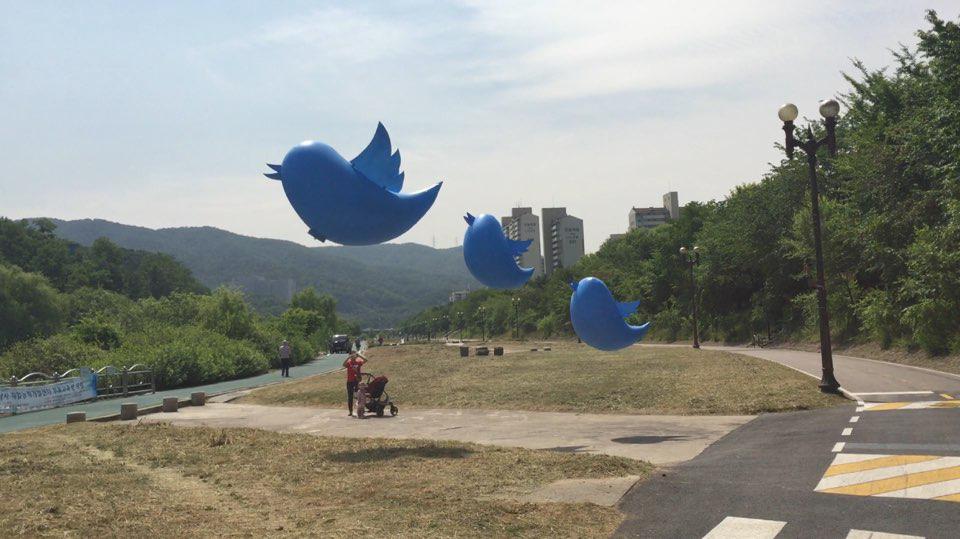 XKorea's tweet image. 트위터 대한민국의 '트위터 날다' 프로젝트가 시험 비행을 마치고 본격 시작됩니다. 귀여운 트위터 벌룬이 찾아갈 사람을 #지금만나러갑니다 해시태그와 함께 추천 멘션해 주세요. #서방님찾다 #다만나고오겠네