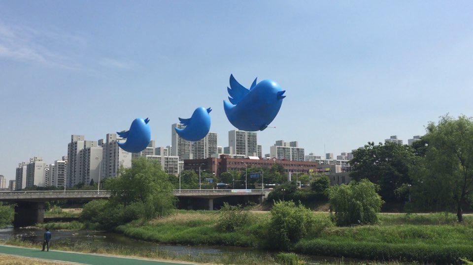 XKorea's tweet image. 트위터 대한민국의 '트위터 날다' 프로젝트가 시험 비행을 마치고 본격 시작됩니다. 귀여운 트위터 벌룬이 찾아갈 사람을 #지금만나러갑니다 해시태그와 함께 추천 멘션해 주세요. #서방님찾다 #다만나고오겠네