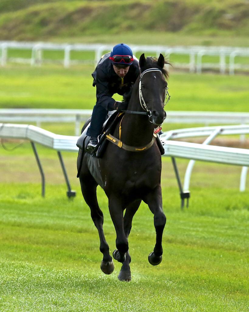 GaiWaterhouse1's tweet photo. Excess Knowledge is back with a vengeance - #Spring mission πͺπΌπ΄ #TrackNotes http://t.co/cPcSNFlZXz