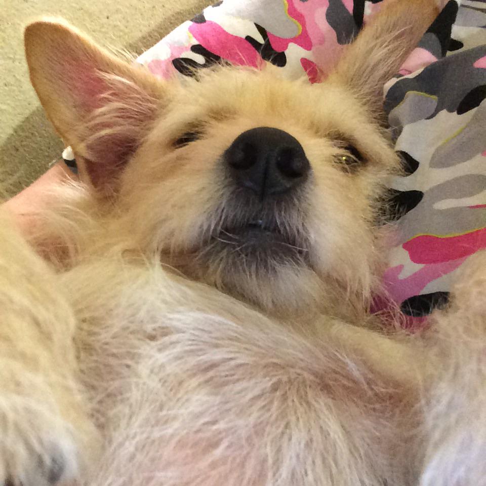 Someone got comfortable.