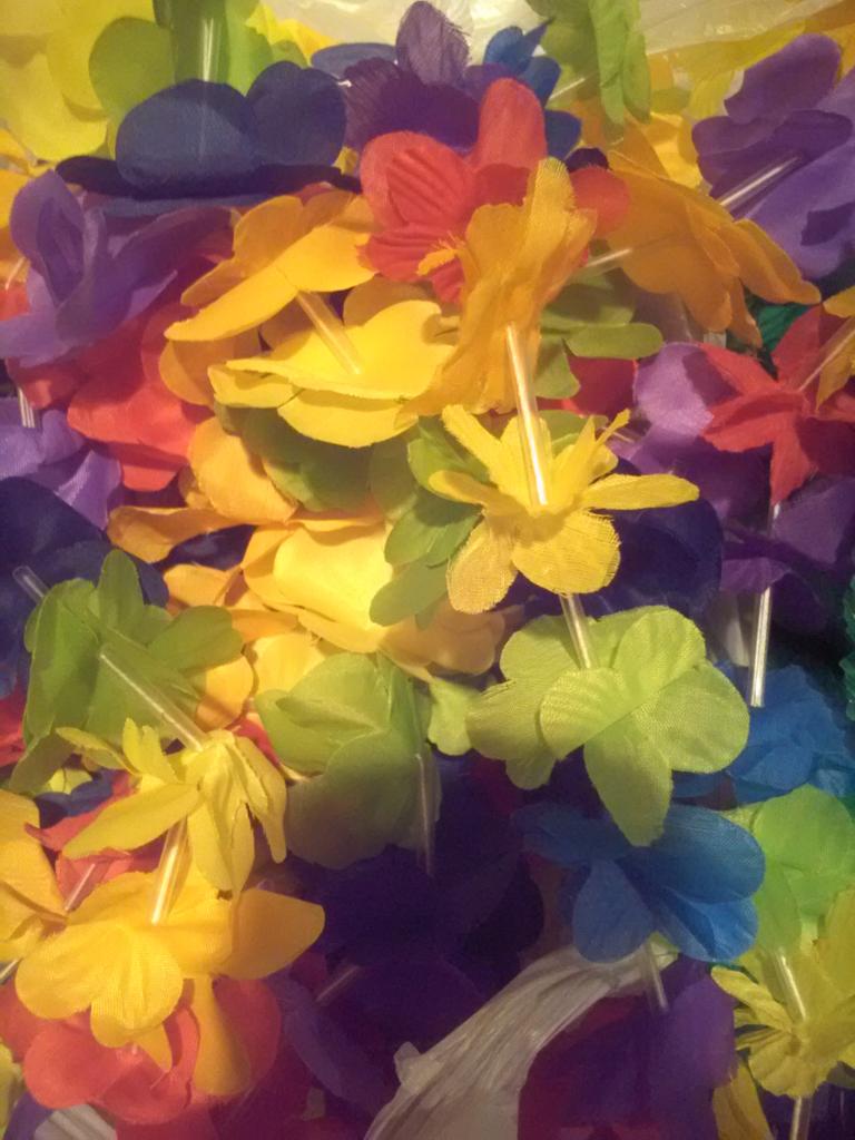 DeadlySinsDFW's tweet photo. Some of us are heading to Arkansas! GET LEI'd by us @wakarusafest !! http://t.co/dXzVIbfMMK