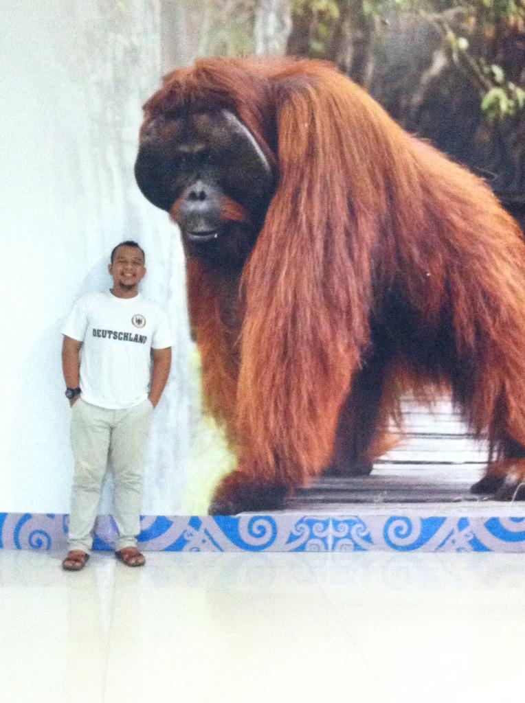 qe_qe's tweet photo. @AP_Airports "save orangutan" Sultan aji muhammad sulaiman Sepinggan int' airport #AirportSelfie http://t.co/4Cw50IWB5L