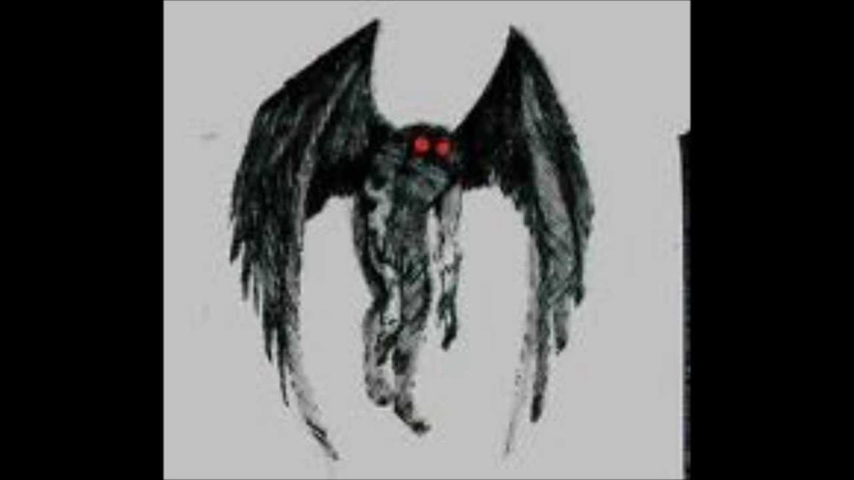 CCCryptids's tweet photo. TERRIFYING STORIES ABOUT THE MOTHMAN CREATURE. HAVE YOU ENCOUTERED IT? #coldcasecryptids http://t.co/xBGLfkzx7W