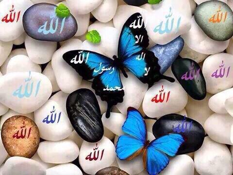 Shatha_t7's tweet photo. أدركت أقواماً لم تكن لهم عيوب فتكلموا
في عيوب الناس فأحدث اللّه لهم عيوباً
الحسن البصري )

استودعكم الله ،، دعواتكم http://t.co/MprH1n7hGX