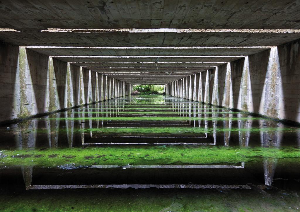 Rue89Bordeaux's tweet photo. La nature reprend ses droits sur le toit de la @Basesousmarine http://t.co/2c8G8y8KcP #Bordeaux http://t.co/aAx5qgBvDv