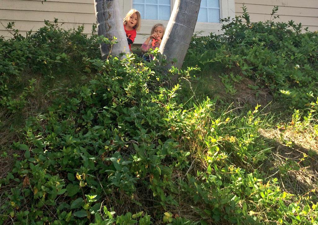 ocunschoolers's tweet photo. Spending time outside is so important. More is always better🌲. Waiting for recess isn't enough. #ocunschoolers http://t.co/MWrGCu4M2k