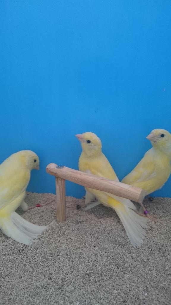 timbradosDG89's tweet photo. http://t.co/JUGkVY0mS5