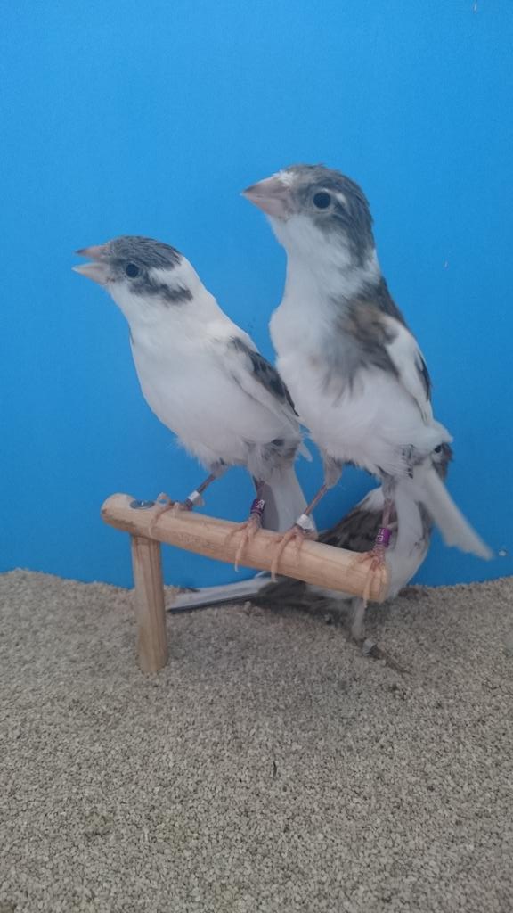 timbradosDG89's tweet photo. http://t.co/JUGkVY0mS5