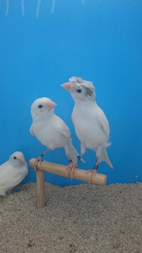timbradosDG89's tweet photo. http://t.co/JUGkVY0mS5