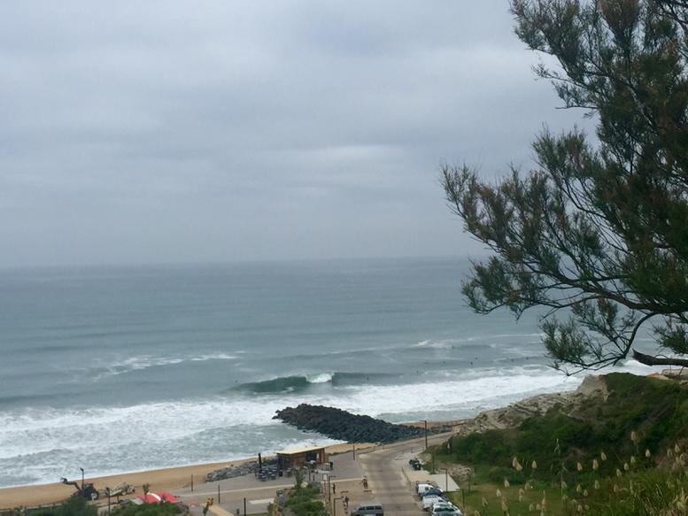 pascalbasurko's tweet image. 