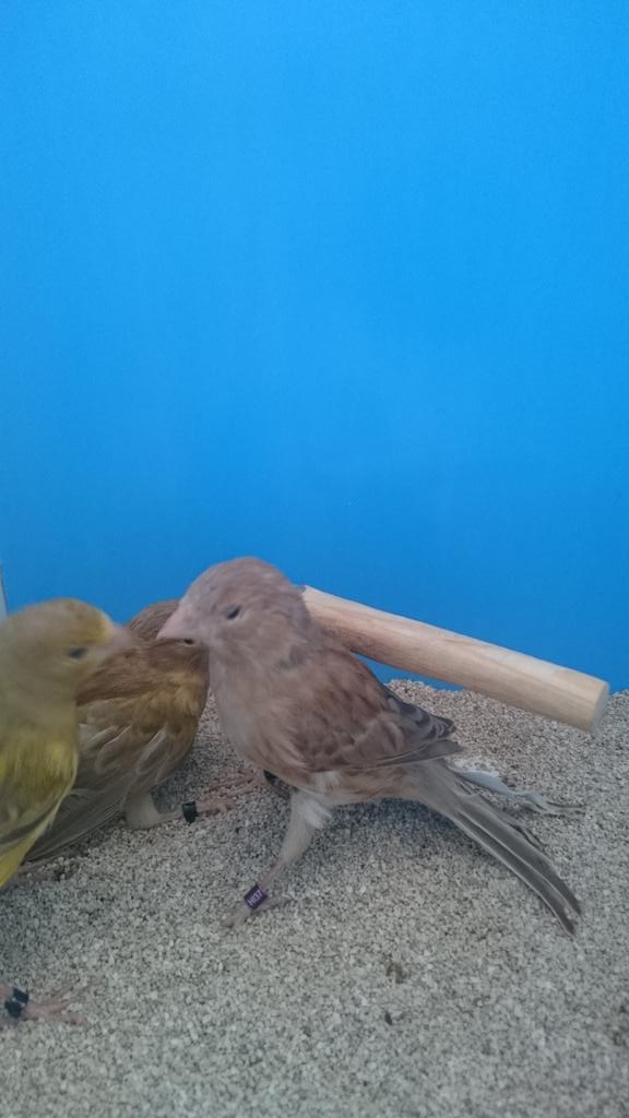 timbradosDG89's tweet photo. http://t.co/nm1zzInEt6