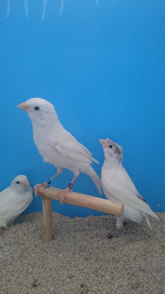 timbradosDG89's tweet photo. http://t.co/GSriJfBf00