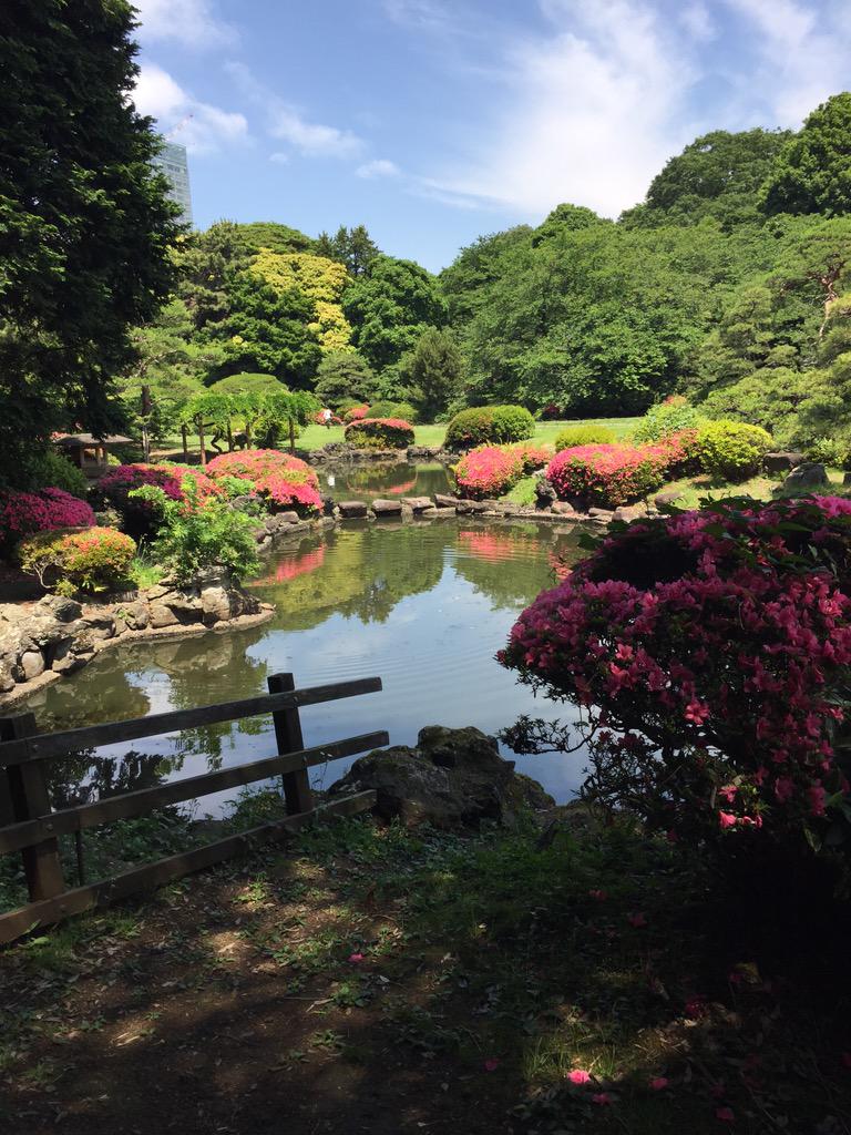 jenproc's tweet image. Day1 in Tokyo- including Japanese gardens, tea house, time square Tokyo, $100 grapes and multi colored wigs #tokyo