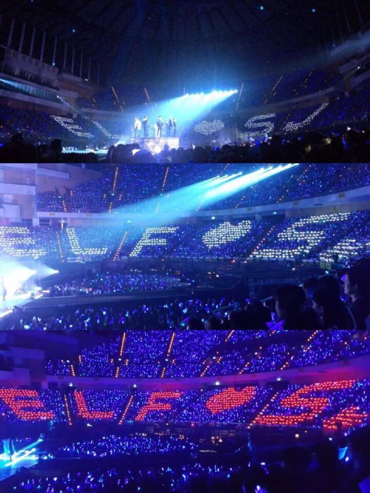 SuNgMiN_ViTaMiN's tweet photo. #Happy9thAnniversaryELF #9YearsWithELF #SuperJuniorIsMyLife 
#ELForever #ELF9thAnniversary #ELFBulgaria http://t.co/x3wYRu7yEK