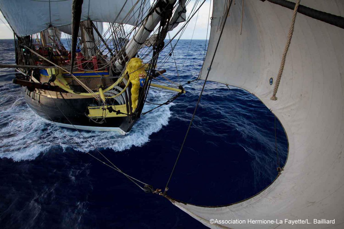 insolite ? La mer dans tous ses états !  - Page 23 CGepX4_W8AAyMk8