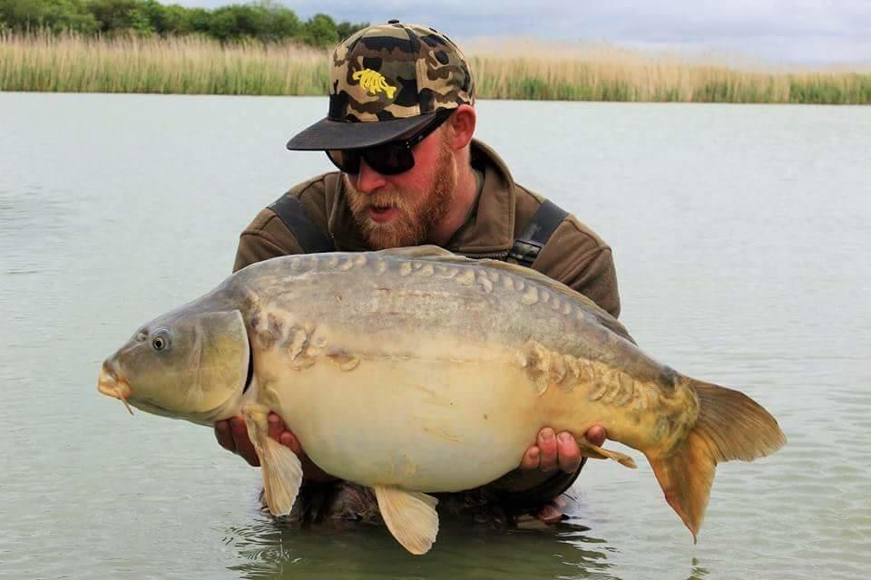 MAD Baits tweet media