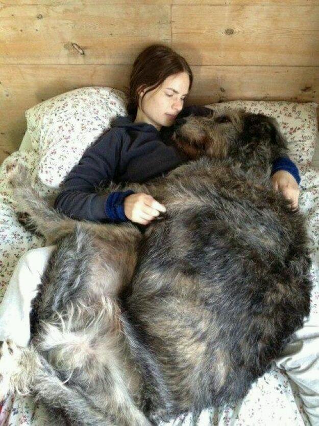 Gordon_Roberts2's tweet photo. Mommy, help me to not have arthritis. http://t.co/SbFGuKpkxU http://t.co/cFGpimP4p7