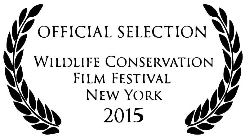 hansdenhartog tweet media