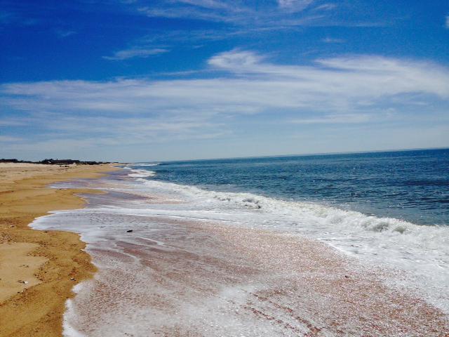 CampaignDataApp's tweet image. We've launched our new website with a Guide To Digital Campaigning 2016:
campaigndataapps.com