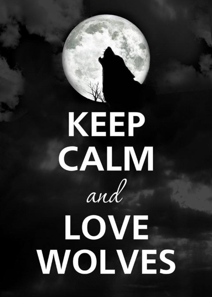 CBayouFandom's tweet photo. We Love Ours #Rougarou @ChaseRColeman @THEDEANWEST @WolfgangJWeber http://t.co/6lNezwGmkn