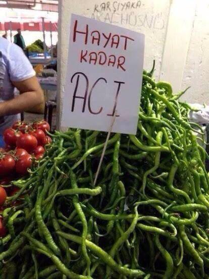 Özkan ÖZTÜRK (@karakule1461) on Twitter photo 