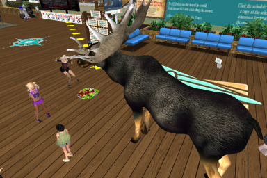 NCI_SL's tweet photo. A giant moose visited NCI and dropped something in the donation box. We're hoping it was lindens. http://t.co/i21iO3Qnzb