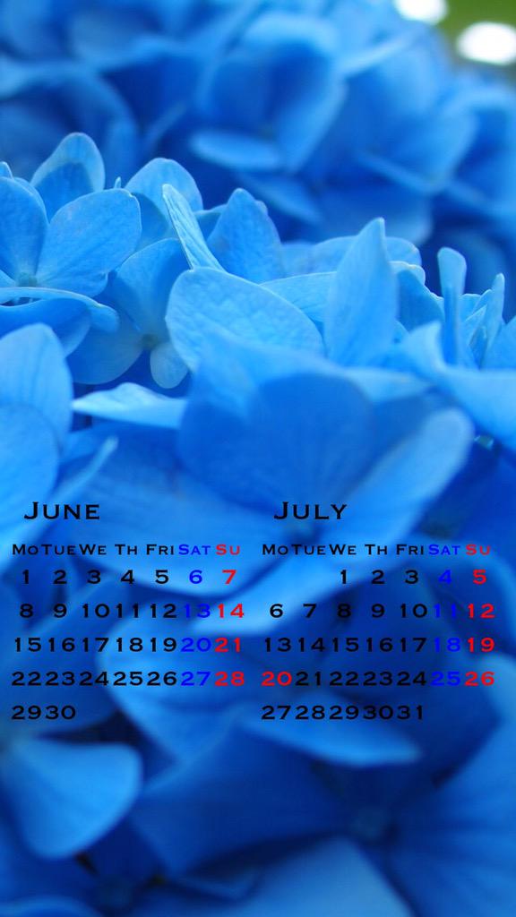 夏珞は島にいます Iphone6の壁紙カレンダー作りました 立葵と紫陽花 良かったらお使いください Iphone6 壁紙 カレンダー 写真好きな人と繋がりたい Http T Co S6prjy72vr