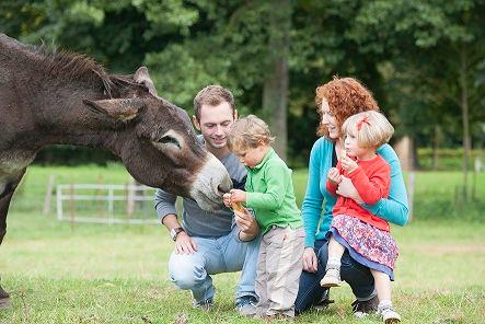 #BaieDeSomme RDV ce samedi 06 juin pour découvrir la vie à la ferme avec la traite des vaches camping-levaldetrie.fr