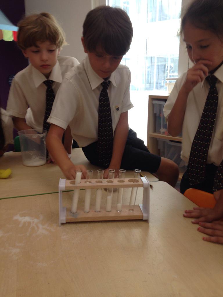 WEK Year 4 tweet media