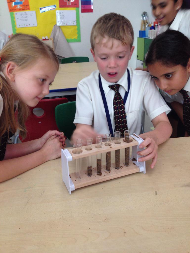 WEK Year 4 tweet media