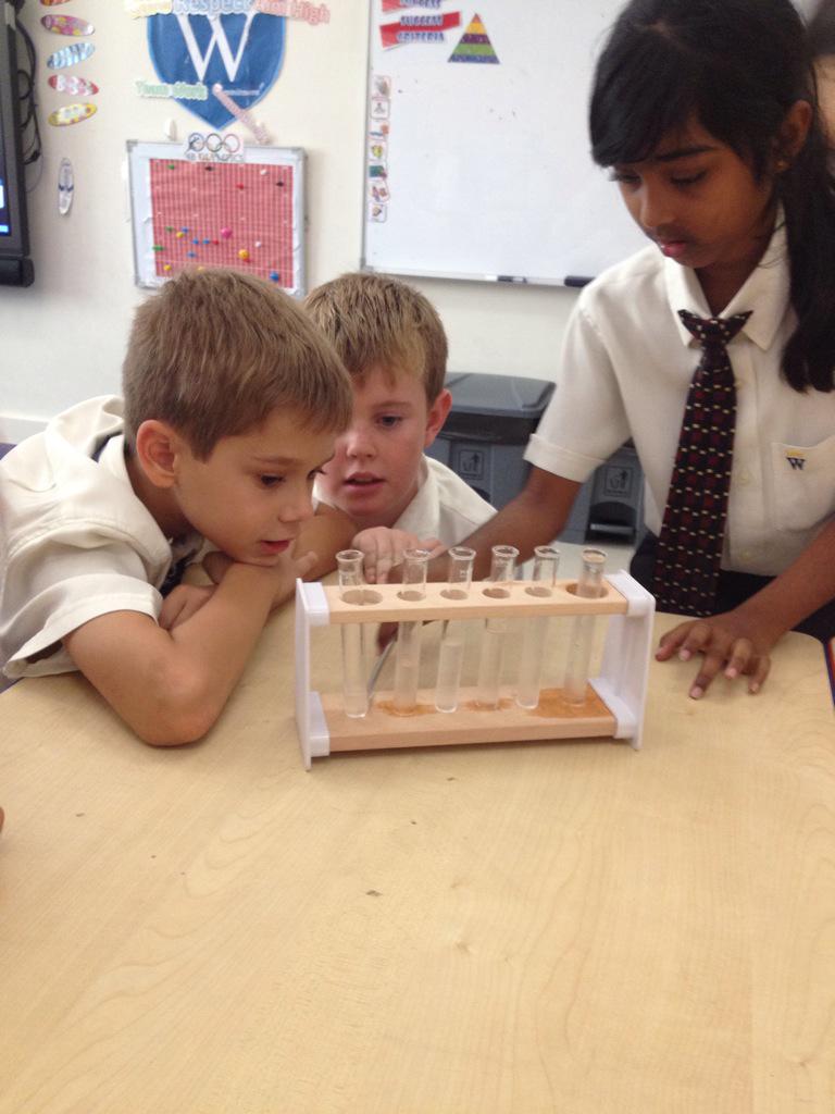 WEK Year 4 tweet media