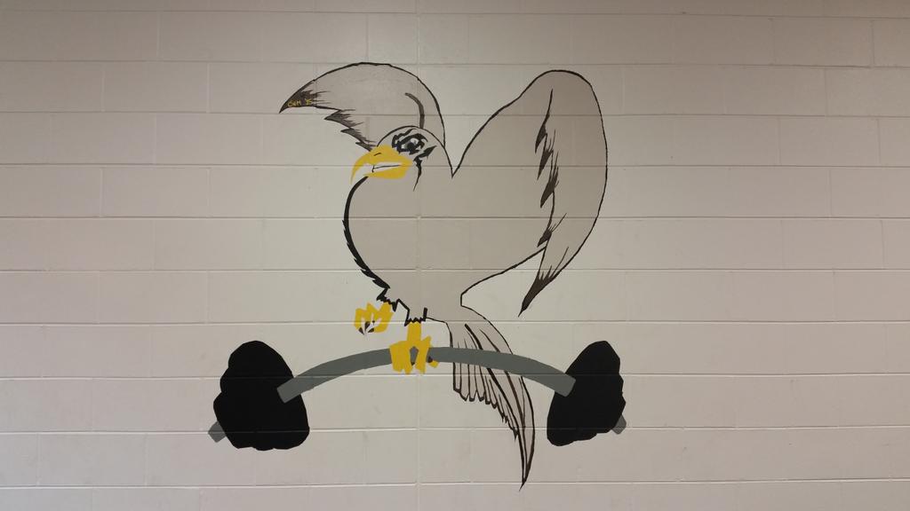 Thank you Cristiana Morgan for coming back to paint a falcon in the weight room to inspire our athletes to win.