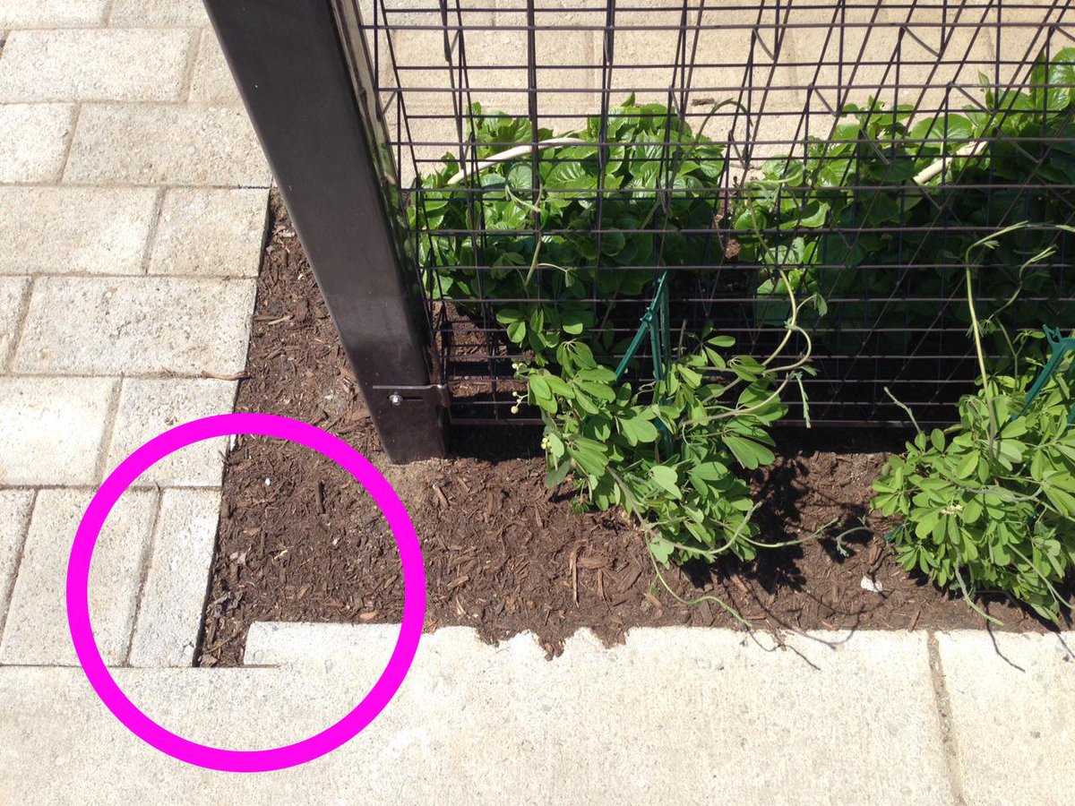 IthacaDesign's tweet image. At the scale of Sagan Planet walk, this is a 254,043km mistake. @ithacavoice @BillNye #twithaca