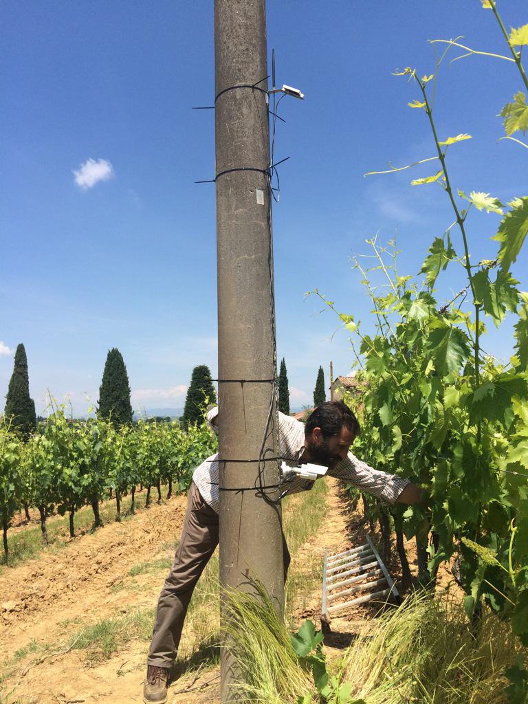 DTrinchero's tweet photo. Accese le prime #iXemCam a #Montepulciano e #Montalcino Grazie Nicolò e Andrea per un supporto fantastico !!! http://t.co/pmAVGpfxhL