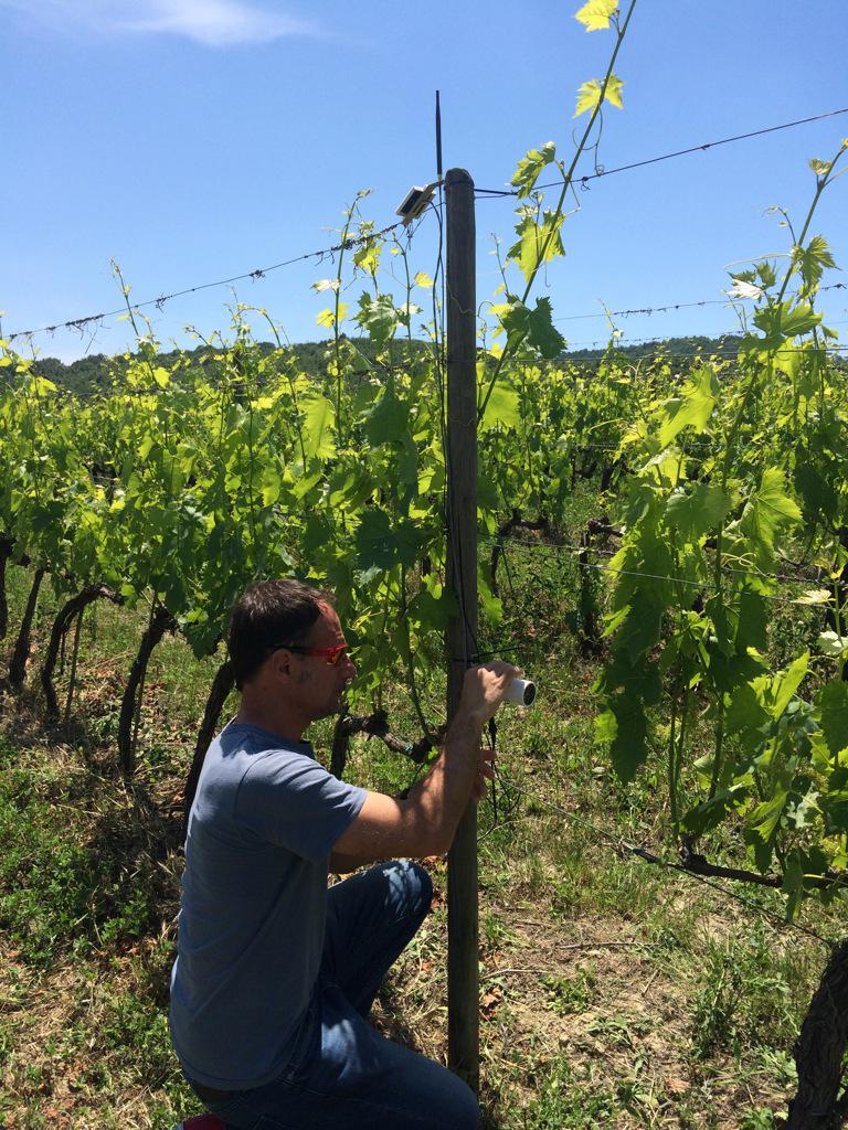 DTrinchero's tweet photo. Accese le prime #iXemCam a #Montepulciano e #Montalcino Grazie Nicolò e Andrea per un supporto fantastico !!! http://t.co/pmAVGpfxhL