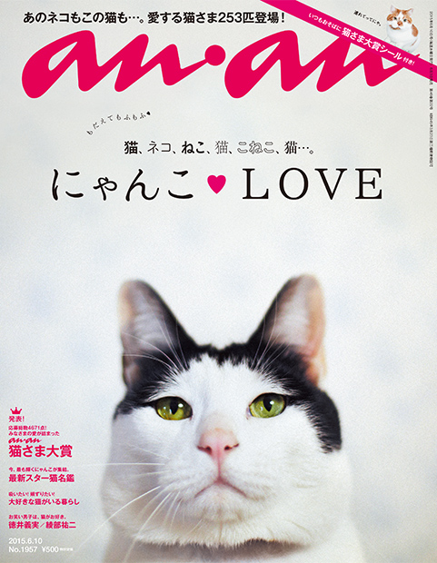明日発売のanan1957号は「にゃんこ♡LOVE」特集！表紙は猫のパンチョ