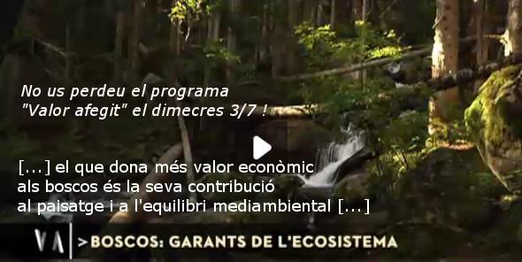 SelvansONG's tweet photo. Tràiler @ValorAfegitTV3 dels serveis ecosistèmics boscos http://t.co/LbB7qXNQ66 tb. itineraris terapèutics #Selvans http://t.co/ygmx9KTBZW