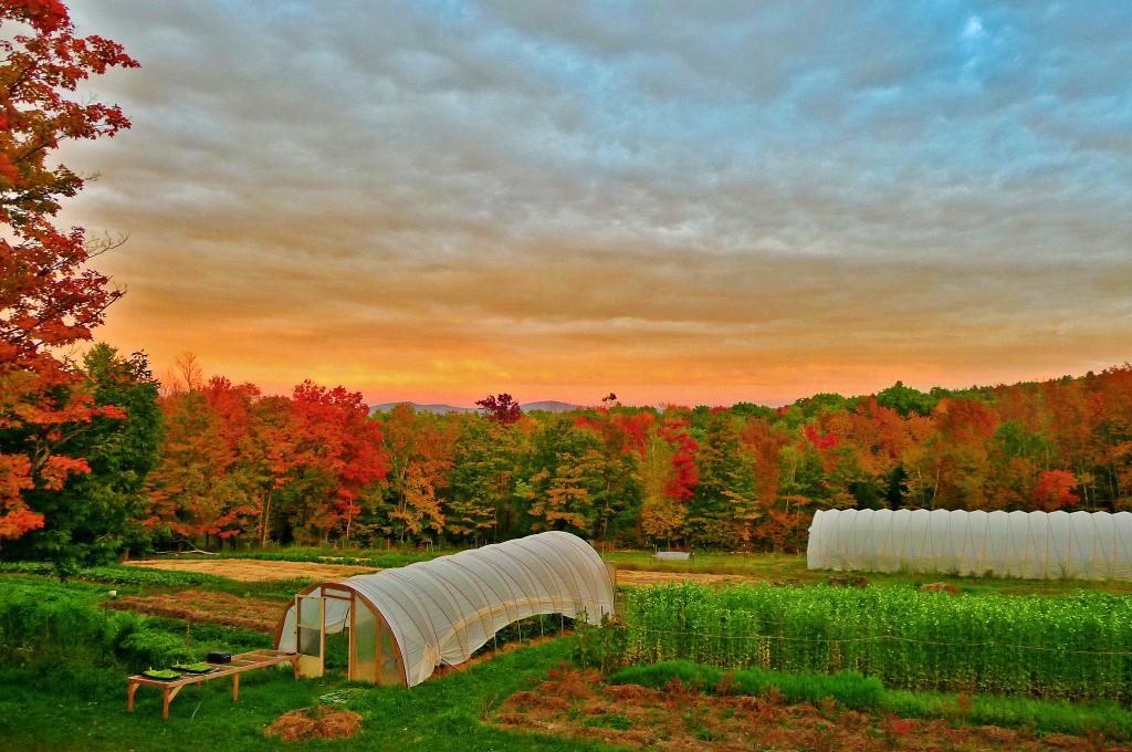 Day 2 of our #raisetheroof  for #foodjustice Help us build our dreams. Click here:youcaring.com/soulfirefarm