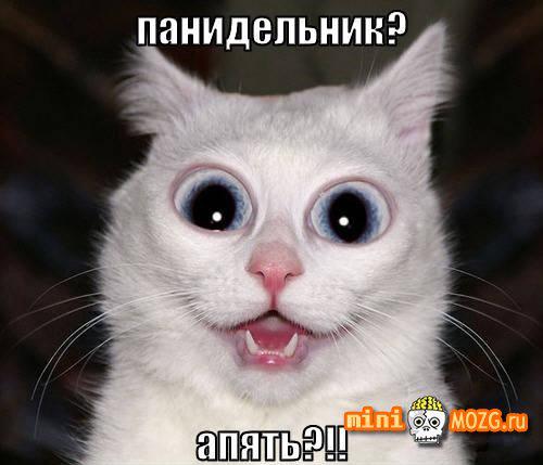 Катя Табункина tweet media