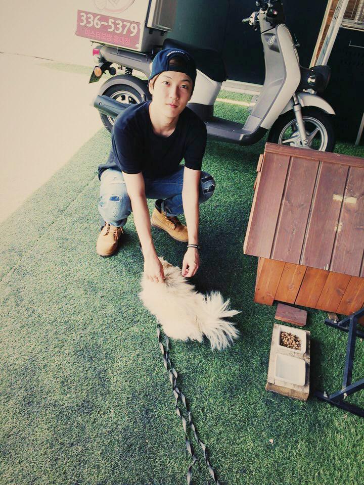BIG_GHofficial's tweet photo. [민표] 안녕 멍뭉아~ 밥먹고 나오는길에 만난 멍뭉이 귀엽죠? 인스타그램 조금 어렵지만 열심히 해볼께요!! http://t.co/1AaTiBF5hH