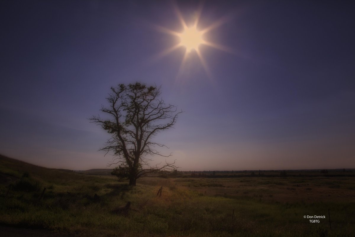 Don Detrick Lone Tree In Shadow Of Early Evening Sun Along Sprague Hwy Rd Near Fishtrap Exit 254 I 90 Near Spraguewa Http T Co Hqt5rzxi7i