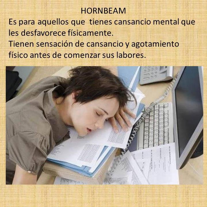 terapiaysonrisa's tweet image. 