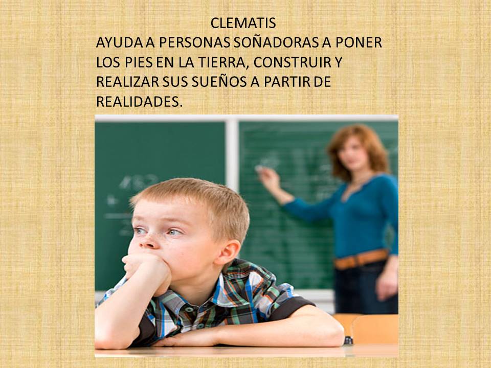 terapiaysonrisa's tweet image. 