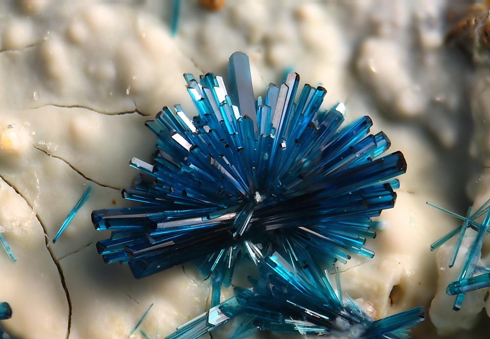 Clinoclase crystals from Tin stope, Nevada, USA
Photo by Elmar Lackner
mindat.org/photo-245146.h…