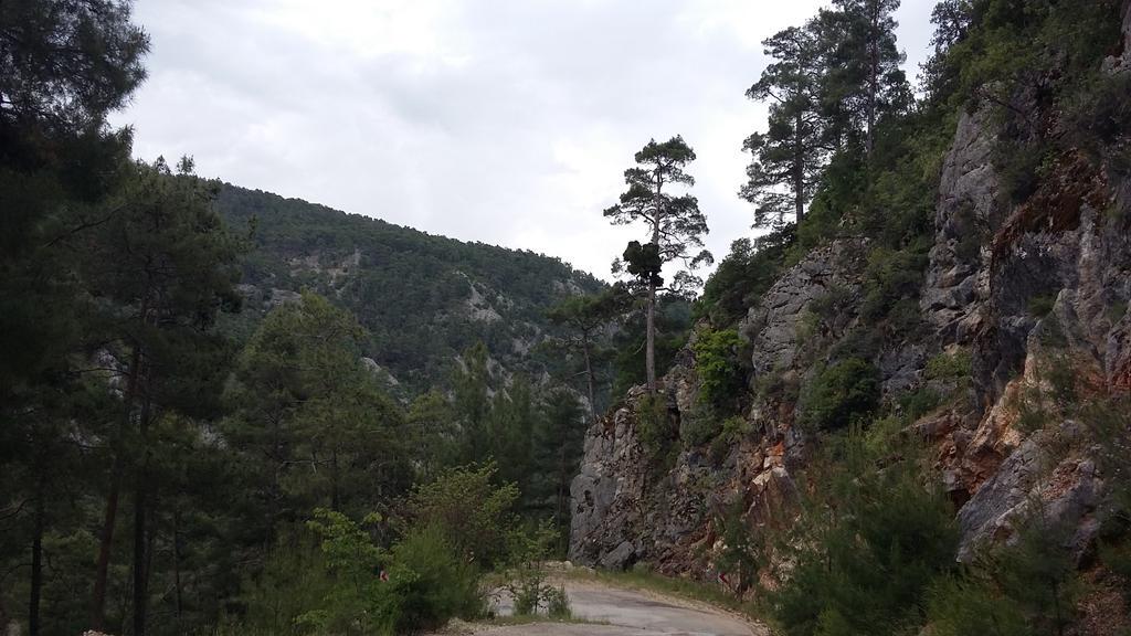 Doğa için LiderimTarhan OyumAnadoluya