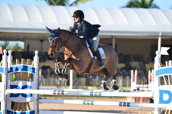 New sale horses and videos up at Blue Hill Farm! bluehillfarmllc.com/sales/