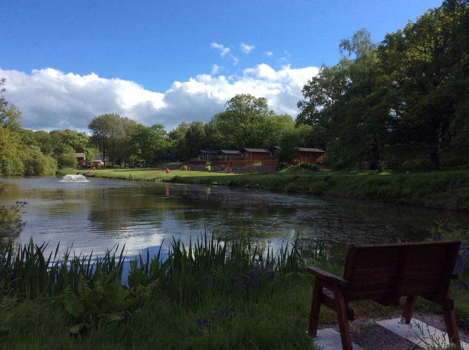 LakeviewManor's tweet photo. Need a relaxing #holiday? Stay in one of our luxury lodges surrounded by 45 acres of parkland &amp; lakes #LodgeHolidays http://t.co/ZE9YH18wyE