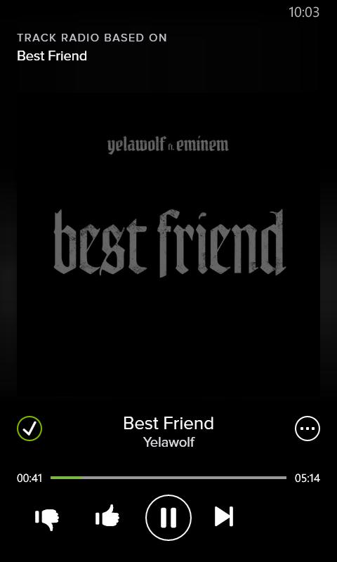 This is a other song, That I think is a amazing song; The singers are Eminem and YelaWolf ; a good song.