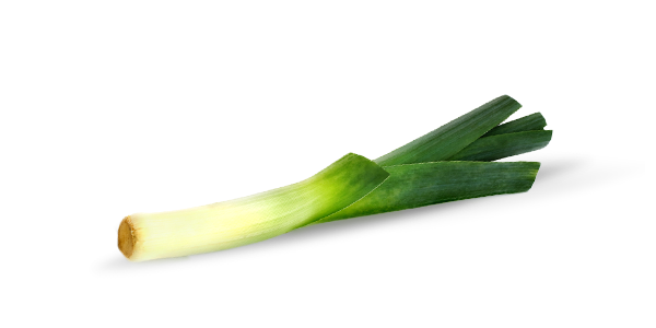 On (f)leek.
