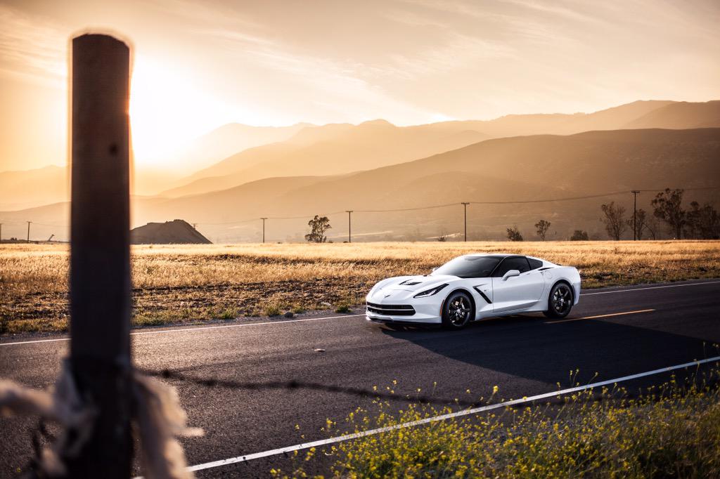 _projectshift's tweet image. Sunshine, sunshine is fine